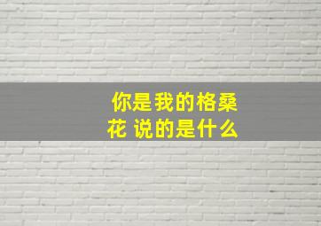 你是我的格桑花 说的是什么